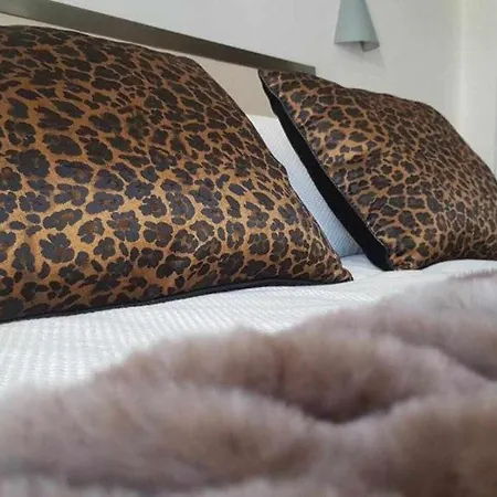 Hidden Gem Suite In San Francisco Cadiz Centro Zewnętrze zdjęcie
